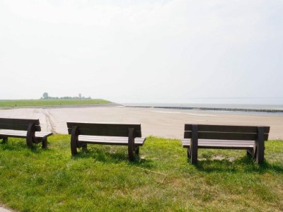 Chalet 6-person New holiday chalet in Scherpenisse - Outdoor photo 55