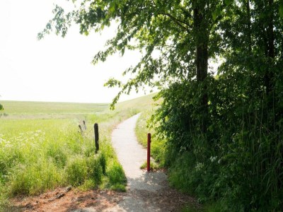 Chalet 6-person New holiday chalet in Scherpenisse - Outdoor photo 56