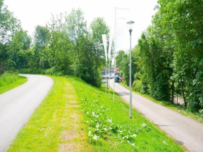 Chalet 6-person New holiday chalet in Scherpenisse - Outdoor photo 57