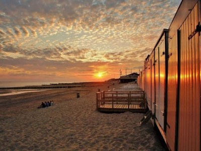 Chalet 4 person chalet on family park in Veere - Outdoor photo 20