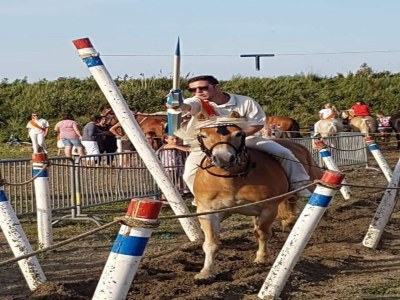 Chalet 4 person chalet on family park in Veere - Outdoor photo 21