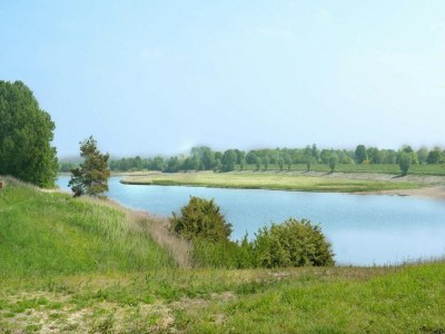 Chalet Chalet in Zeeland near Sandy Beach & Nature - Outdoor photo 32