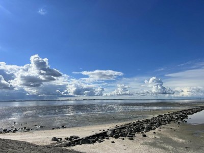 Chalet Chalet in Zeeland near Sandy Beach & Nature - Outdoor photo 33