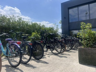 Chalet Chalet in Zeeland near Sandy Beach & Nature - Outdoor photo 79