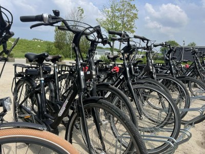 Chalet Chalet in Zeeland near Sandy Beach & Nature - Outdoor photo 59