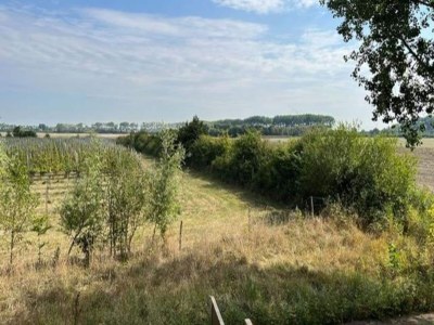 Villa 4-person semi-detached holiday home in Oostkapelle - Outdoor photo 24