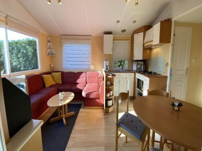 Chalet 4 person holiday chalet in Sint-Annaland - Outdoor photo 6