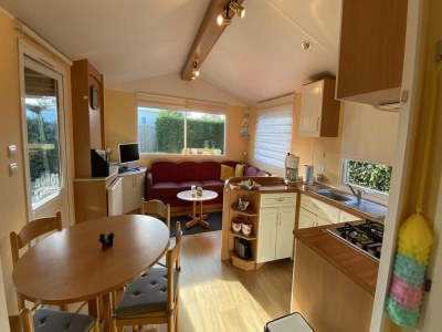 Chalet 4 person holiday chalet in Sint-Annaland - Outdoor photo 9