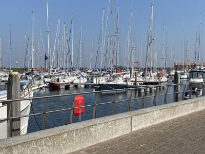 Chalet 4 person holiday chalet in Sint-Annaland - Outdoor photo 22