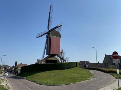 Chalet 4 person holiday chalet in Sint-Annaland - Outdoor photo 23