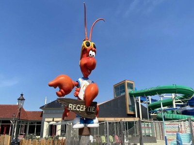 Chalet 4-person chalet at Julianahoeve in Renesse - Outdoor photo 45