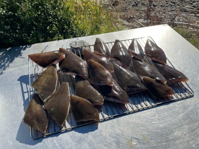 Apartment 4 Personen Ferienhaus in Eidsvåg - Outdoor photo 29