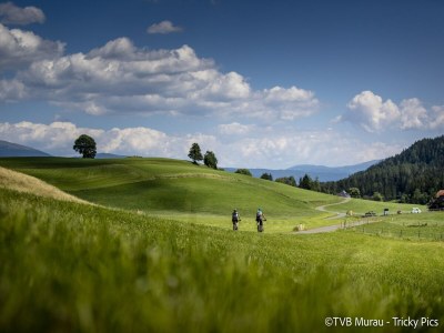 Holiday house Gemütliches Ferienhaus mit Wellnessbereich - Outdoor photo 17