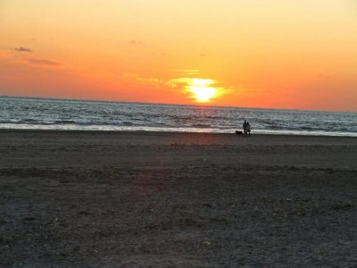 Chalet Inviting Hollum Chalet near Golf Course - Environment photo 26