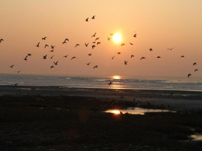 Chalet Inviting Hollum Chalet near Golf Course - Environment photo 27