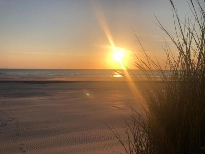 Chalet Chalet in Hollum near the beach - Environment photo 23