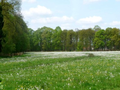 Holiday house Strandlodge mit Seeblick in Ravels - Environment photo 7