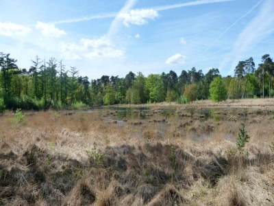 Holiday house Strandlodge mit Seeblick in Ravels - Environment photo 8