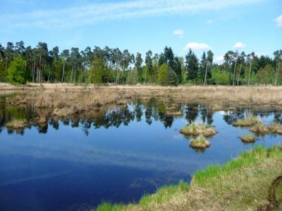 Holiday house Strandlodge mit Seeblick in Ravels - Environment photo 9