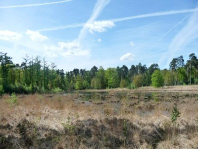 Holiday house Strandlodge mit Seeblick in Ravels - Environment photo 11