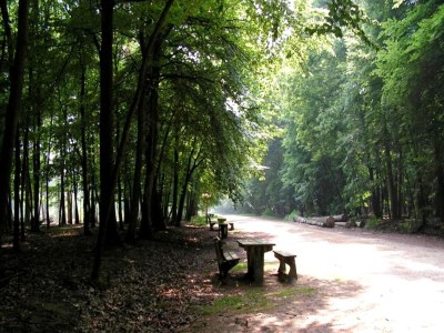 Holiday house Zwei-Schlafzimmer-Wohnung im Herzen von Kempen - Environment photo 16