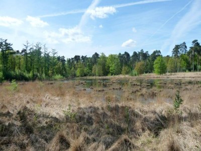 Holiday house 6-Guest Escape with Private Garden & Wi-Fi - Environment photo 14