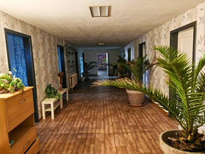 Apartment Family-Friendly Guesthouse in the Oderbruch - Features photo 7