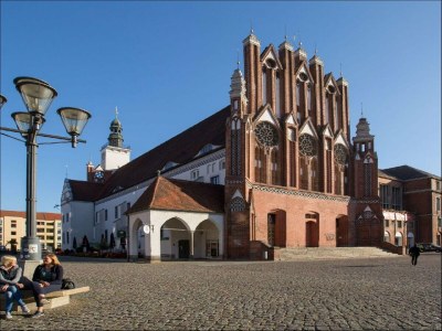 Apartment Family-Friendly Guesthouse in the Oderbruch - Environment photo 19