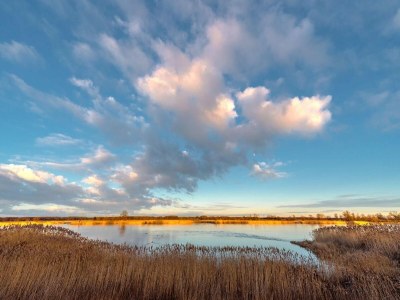 Apartment Family-Friendly Guesthouse in the Oderbruch - Environment photo 24