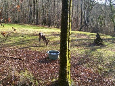 Holiday park Pet-Friendly Villa in Dordogne - Environment photo 18