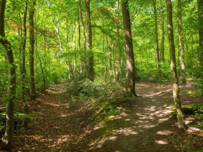 Holiday park Pet-Friendly Villa in Dordogne - Environment photo 19