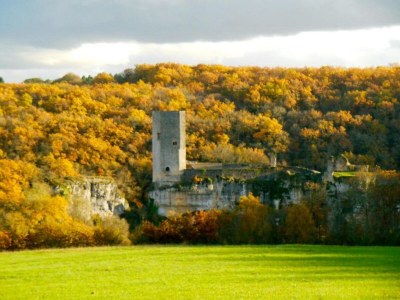 Holiday park Pet-Friendly Villa in Dordogne - Environment photo 20