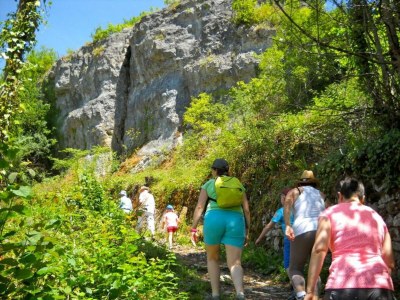Holiday park Pet-Friendly Villa in Dordogne - Environment photo 21