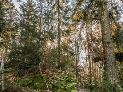 Holiday park Pet-Friendly Villa in Dordogne - Environment photo 23