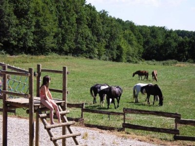 Holiday park Pet-Friendly Villa in Dordogne - Outdoor photo 36