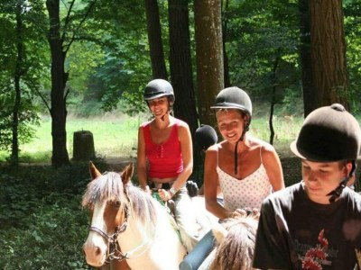 Holiday park Pet-Friendly Villa in Dordogne - Outdoor photo 38