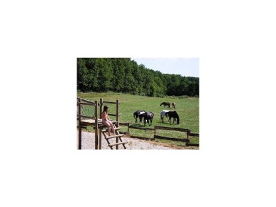 Holiday park Spacious Dordogne Cottage - Outdoor photo 31