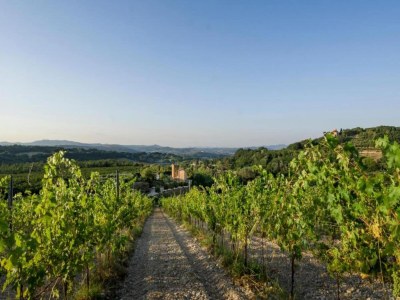 Holiday house Orte Villa for 8 with Parking - Environment photo 21