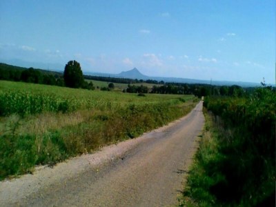 Holiday house Orte Villa for 8 with Parking - Environment photo 23