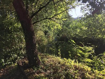 Holiday house Orte Villa for 8 with Parking - Environment photo 25