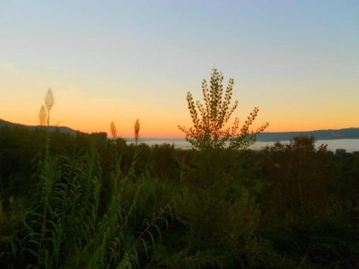 Holiday house Orte Villa for 8 with Parking - Environment photo 27