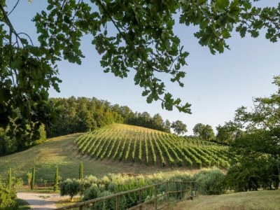 Holiday house Orte Villa for 8 with Parking - Environment photo 28