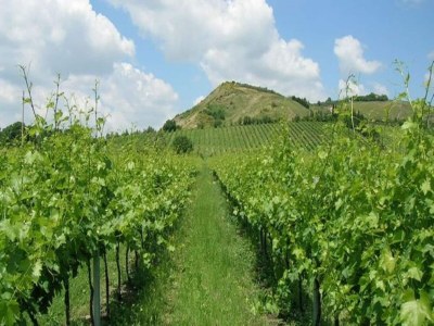 Holiday house Geräumiges Ferienhaus in Brisighella - Outdoor photo 7