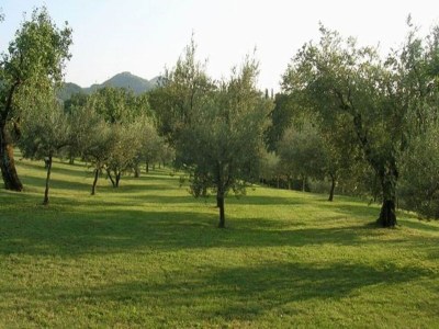 Holiday house Geräumiges Ferienhaus in Brisighella - Outdoor photo 9