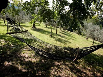 Holiday house Geräumiges Ferienhaus in Brisighella - Outdoor photo 12