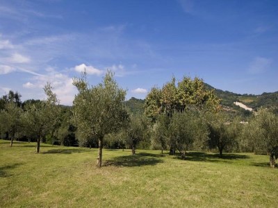 Holiday house Geräumiges Ferienhaus in Brisighella - Outdoor photo 13
