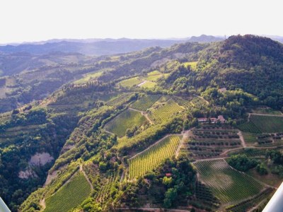 Holiday house Geräumiges Ferienhaus in Brisighella - Environment photo 38