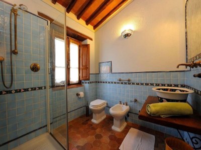 Holiday house Tuscan Family Villa with Sauna - Features photo 35