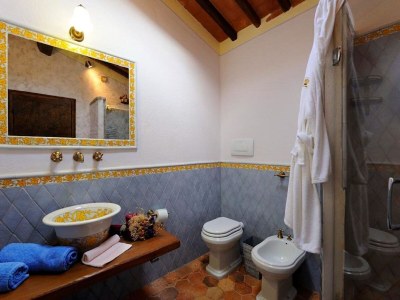 Holiday house Tuscan Family Villa with Sauna - Features photo 40