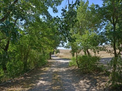 Holiday house Gruppenurlaub mit Garten in der Toskana - Environment photo 24